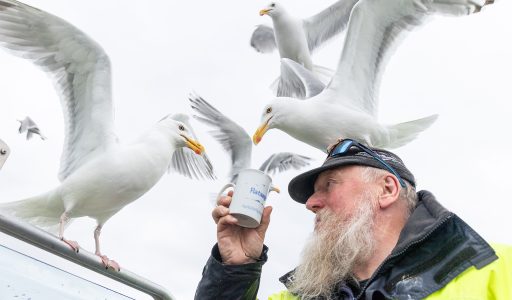 Ole Martin Dahle, the Eagle Man