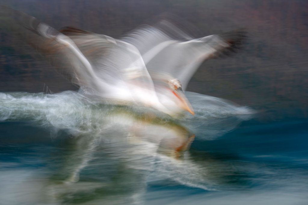 Busy calm ©Kaisa Sirén