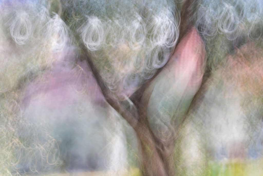 Delicate and heavy ©Kaisa Sirén