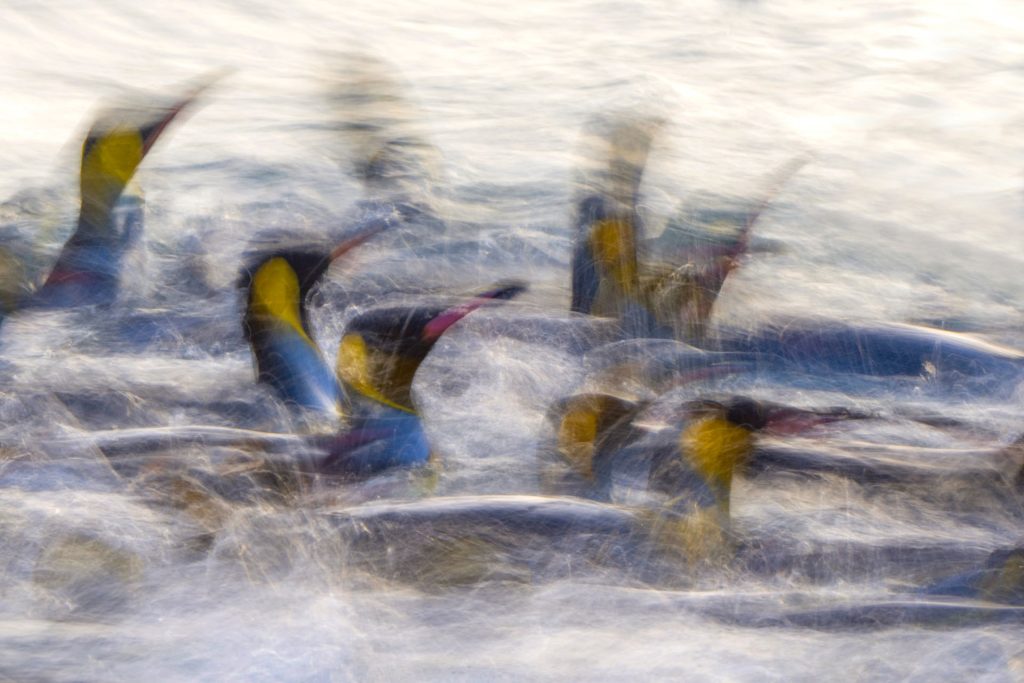 Colour contrast ©Kaisa Sirén