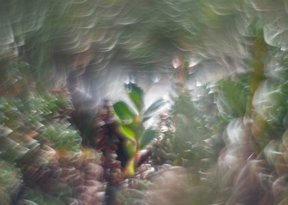 Kaisa Sirén’s My Moment as an Ant collection